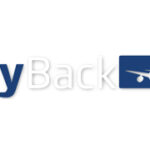 logo-flyback